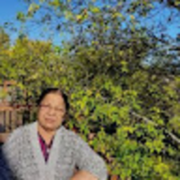nayanamukhtyar